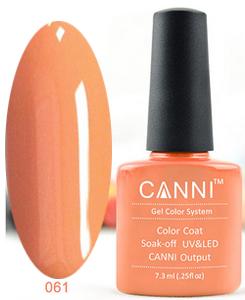 ����-��� (Shellac) CANNI �61