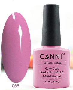 ����-��� (Shellac) CANNI �66