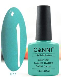 ����-��� (Shellac) CANNI �77